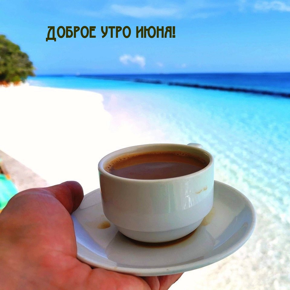Доброе утро июня!