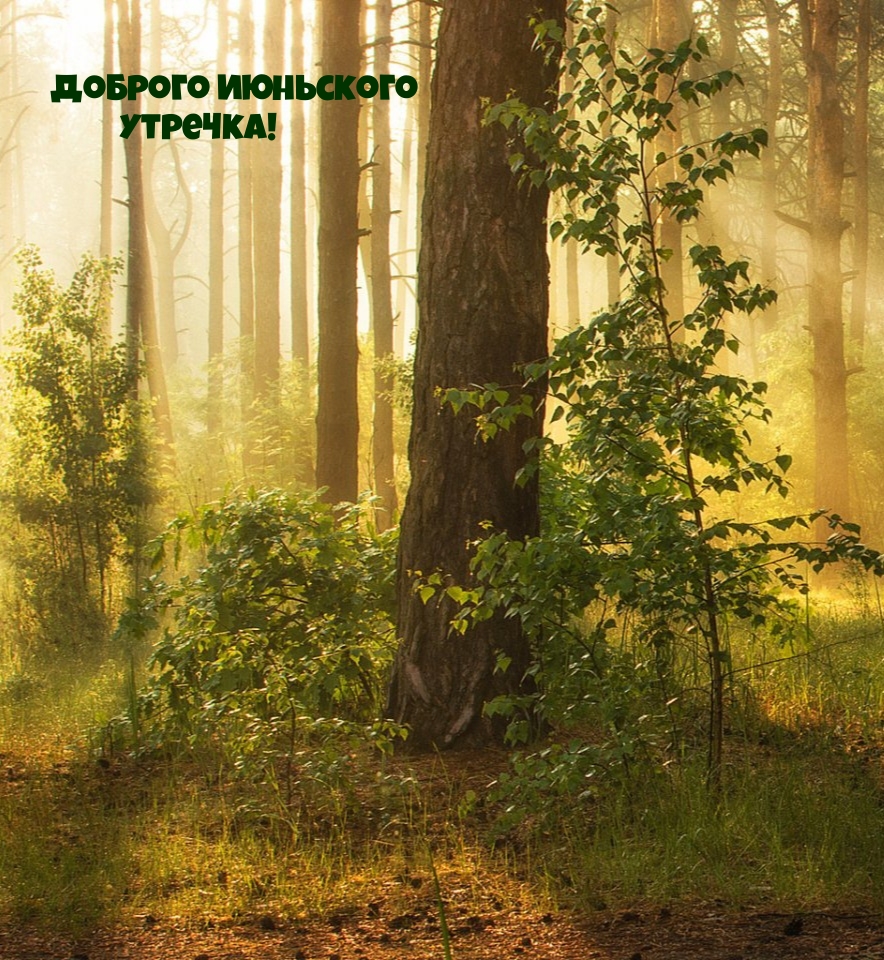 Доброго июньского утречка!