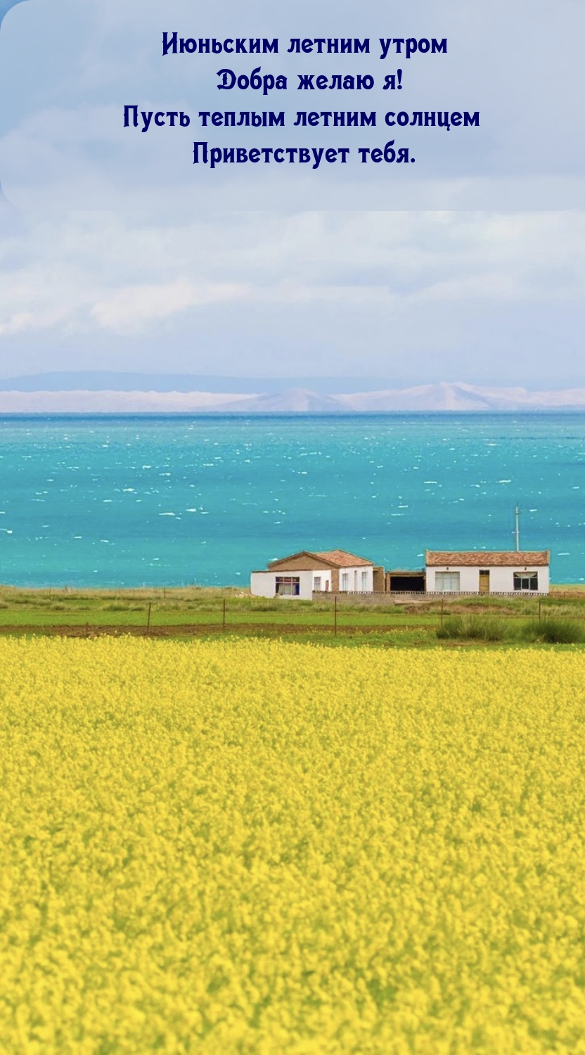 Июньским летним утром добра желаю я!