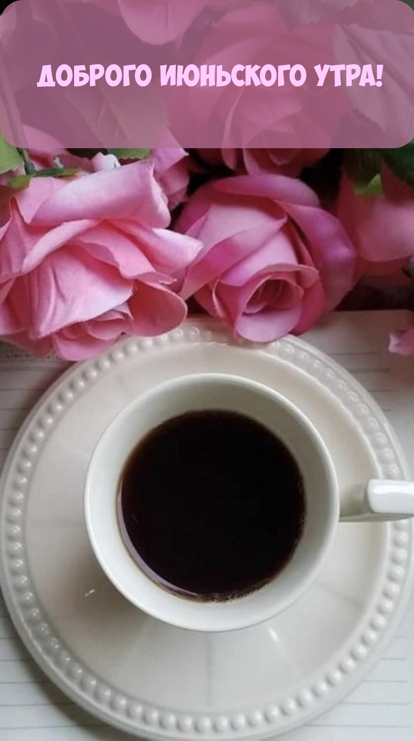 Доброго июньского утра!