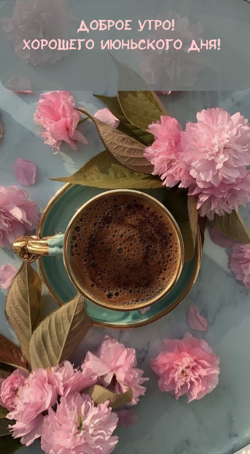Доброе утро! Хорошего июньского дня! 