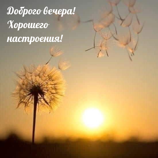 Доброго вечера! Хорошего настроения!