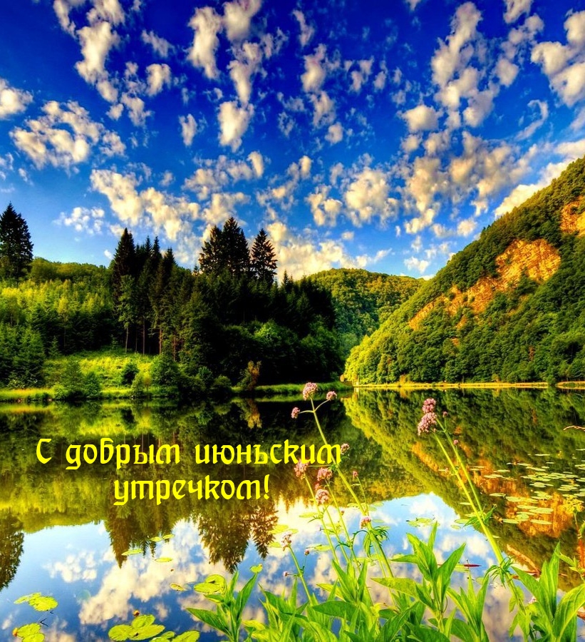 С добрым июньским утречком!