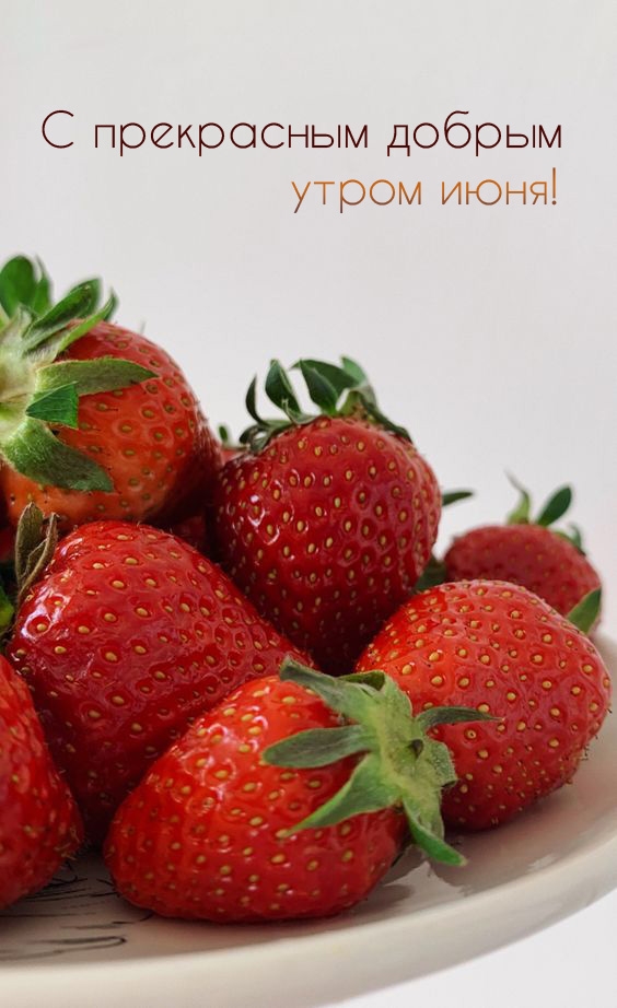 С прекрасным добрым утром июня!