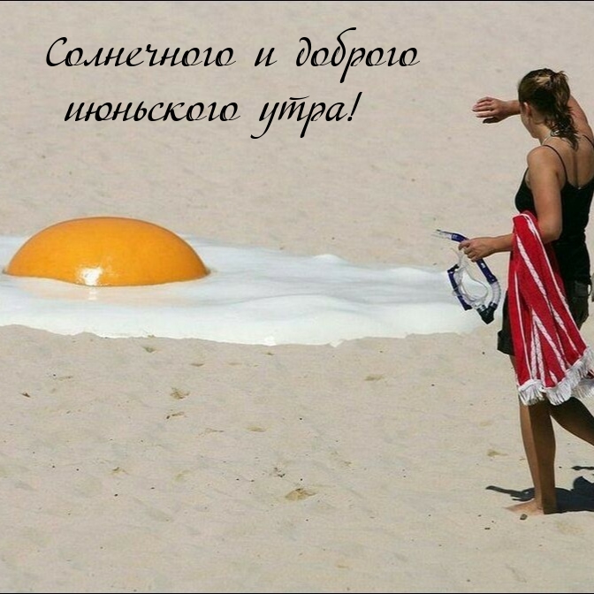 Солнечного и доброго июньского утра!