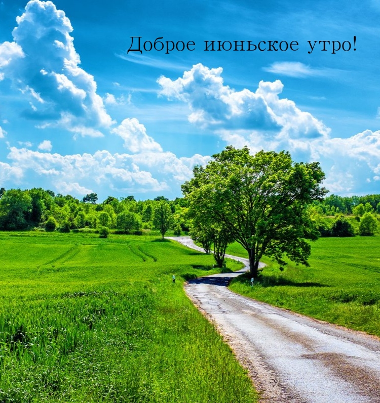 Доброе июньское утро!