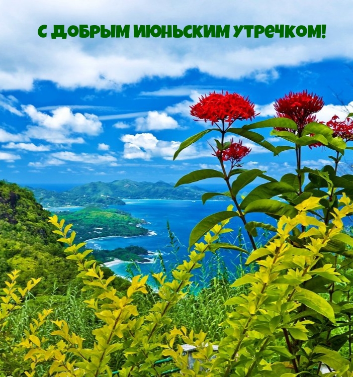 С добрым июньским утречком!