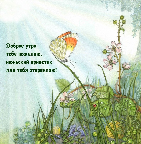 Доброе утро тебе пожелаю, июньский приветик для тебя отправляю!