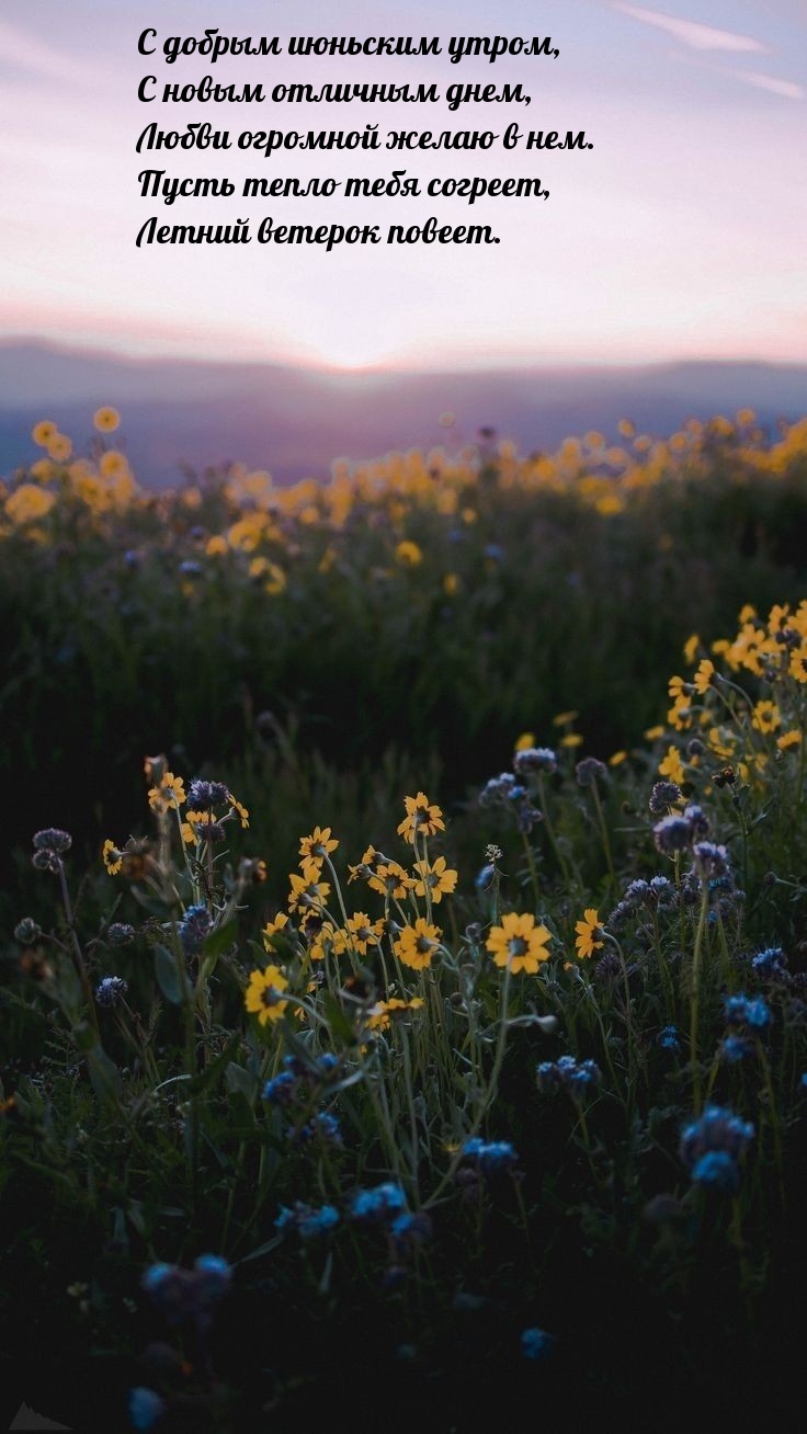 С добрым июньским утром, с новым отличным днем