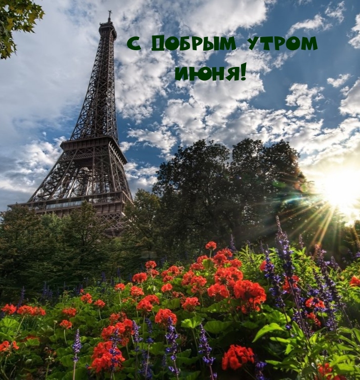 С добрым утром июня!