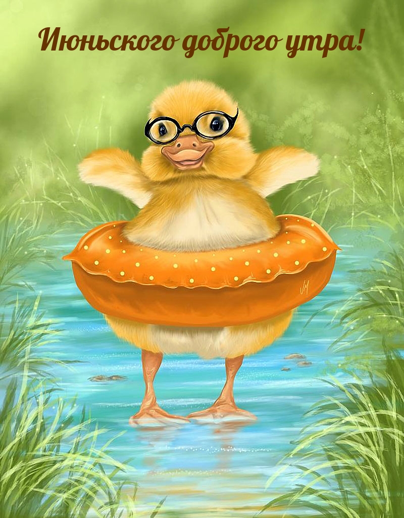 Июньского доброго утра!