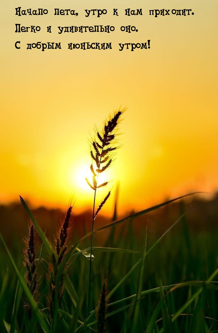 Начало лета, утро к нам приходит. С добрым июньским утром!