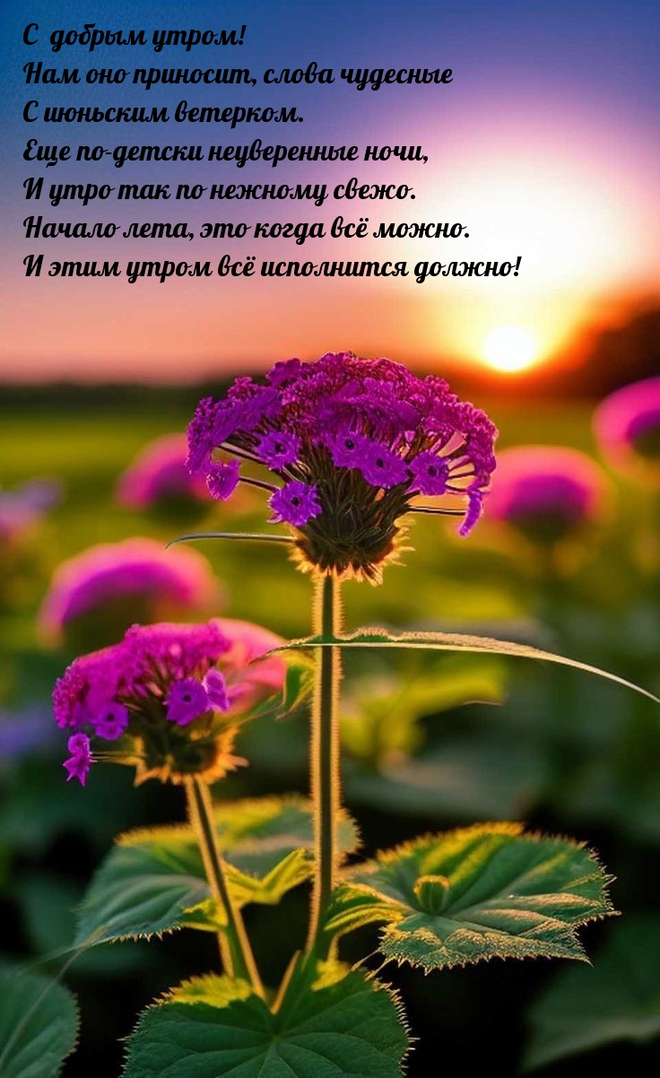 С  добрым утром! С июньским ветерком.
