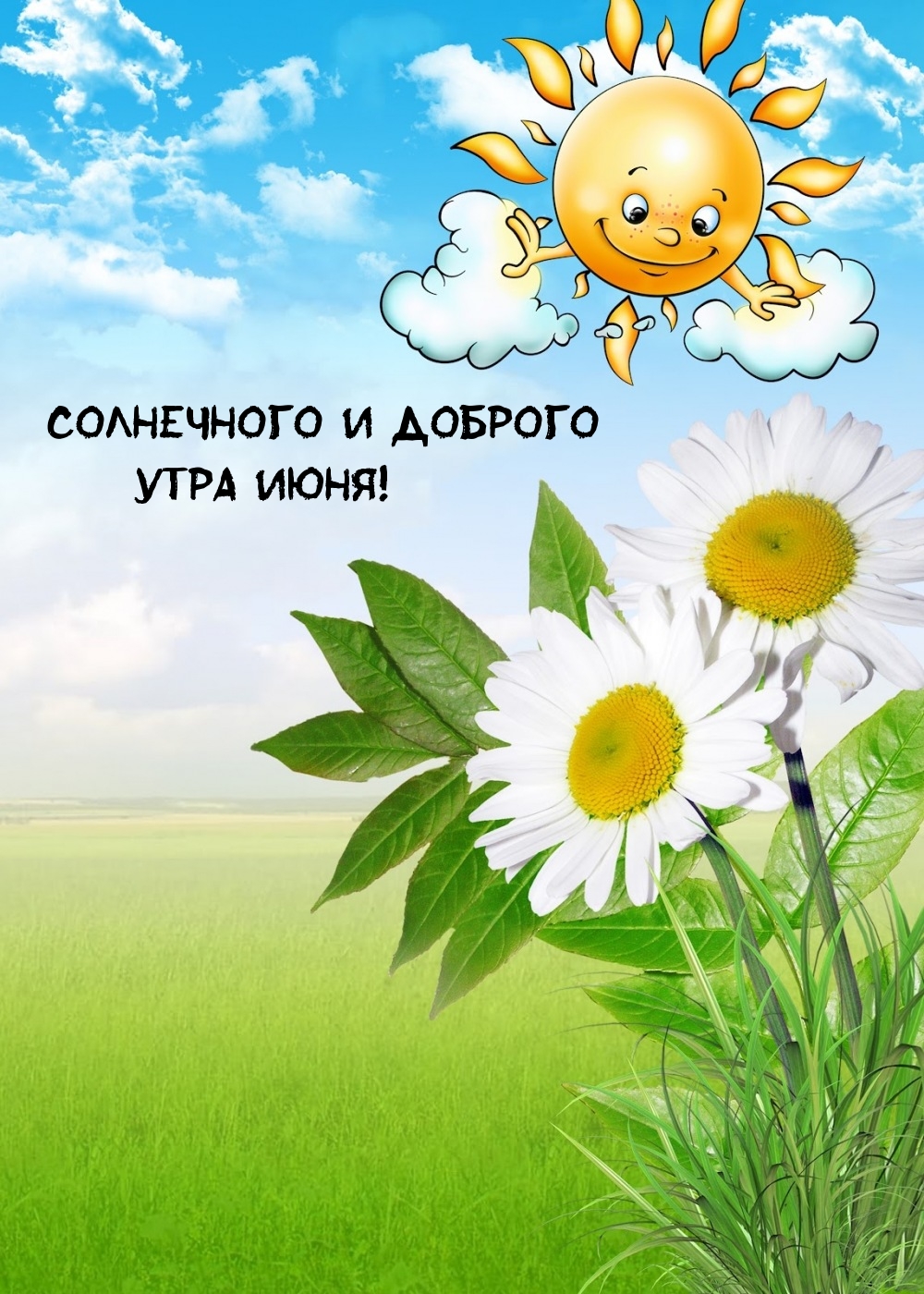 Солнечного и доброго утра июня!