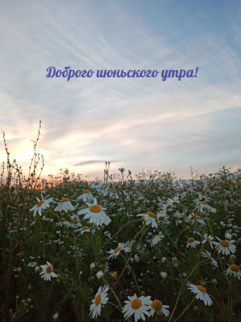 Доброго июньского утра!