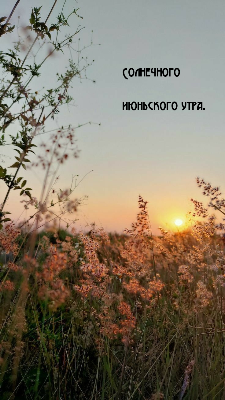Солнечного июньского утра.