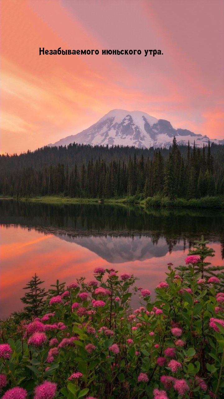 Незабываемого июньского утра.