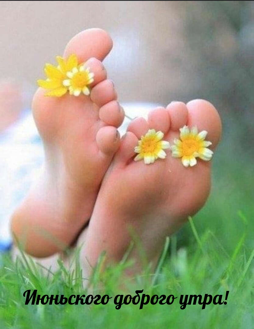 Июньского доброго утра!