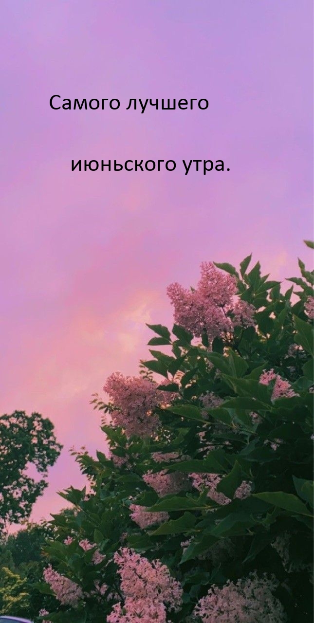 Самого лучшего июньского утра.