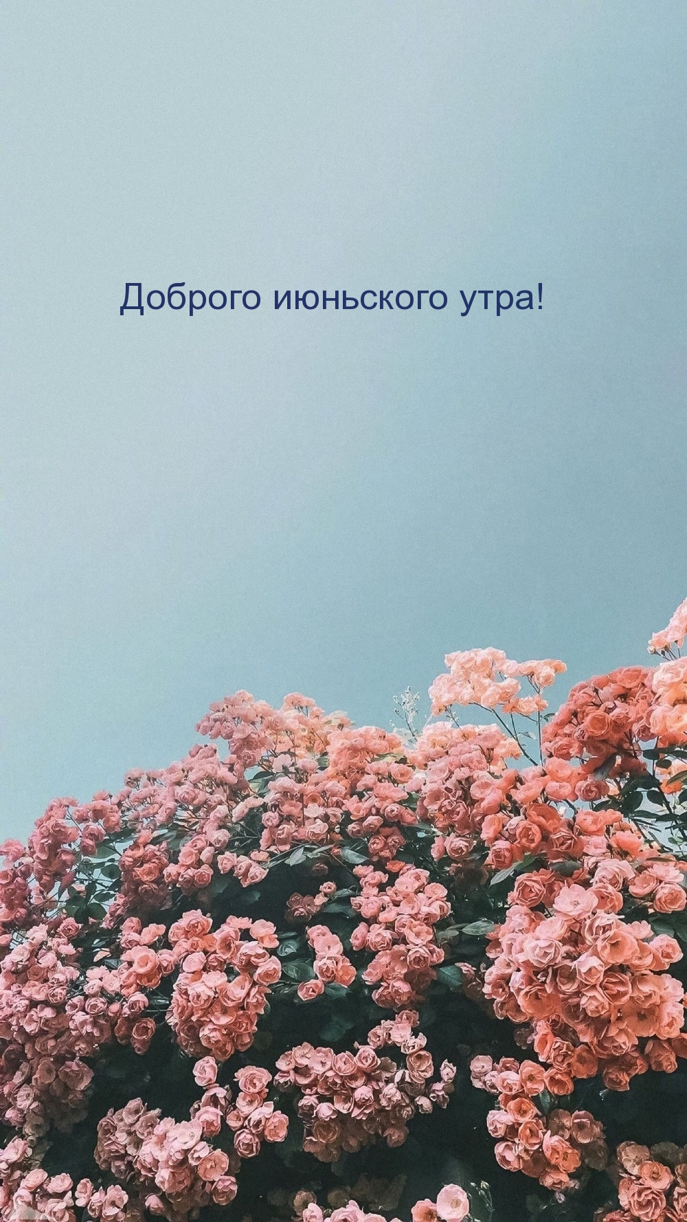 Доброго июньского утра!