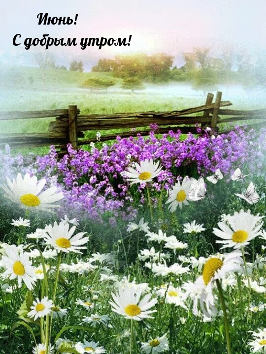 Июнь! С добрым утром!