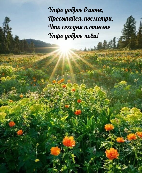 Утро доброе в июне, просыпайся, посмотри