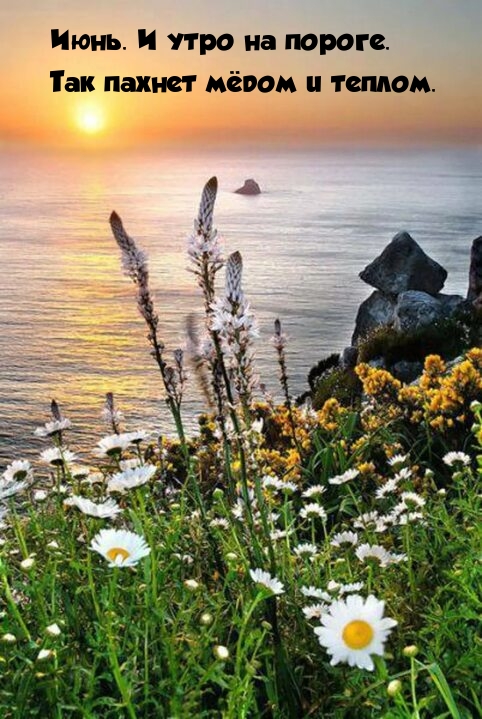 Июнь. И утро на пороге. Так пахнет мёдом и теплом.