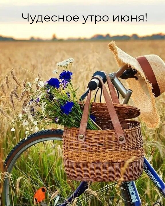 Чудесное утро июня!