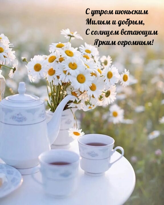 С утром июньским милым и добрым, с солнцем встающим ярким 
