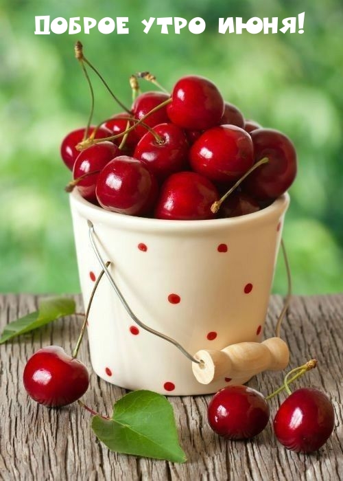 Доброе утро июня!