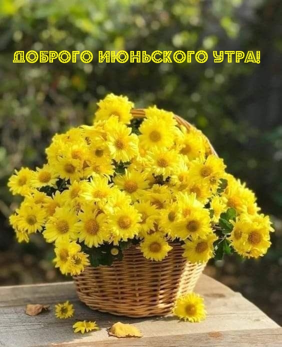 Доброго июньского утра!