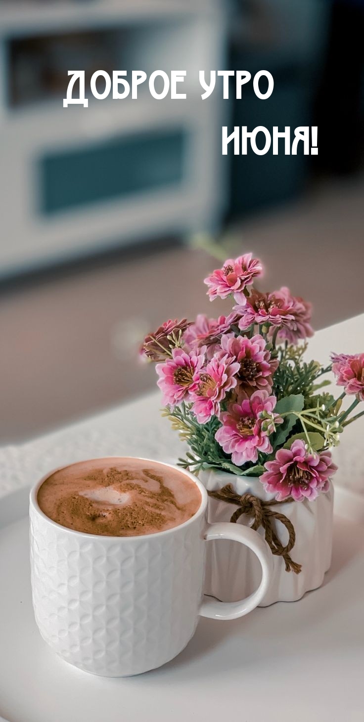Доброе утро июня!