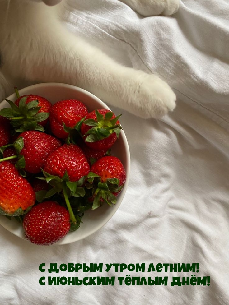 С добрым утром летним! С июньским тёплым днём!