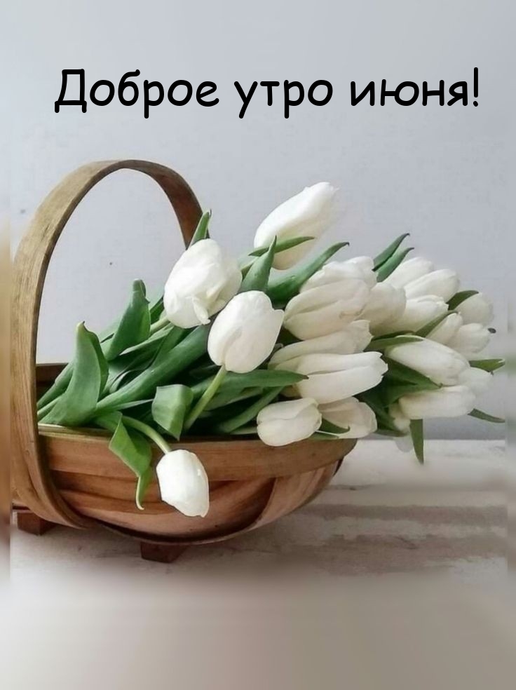 Доброе утро июня!