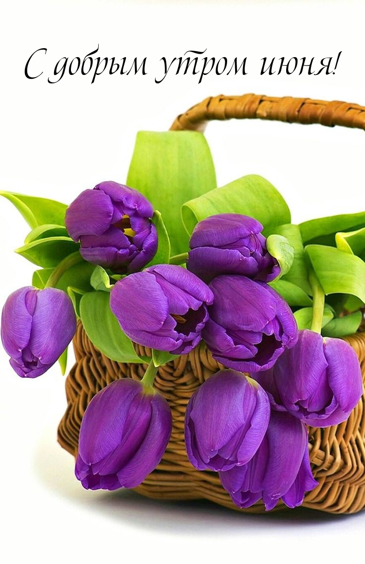 С добрым утром июня!