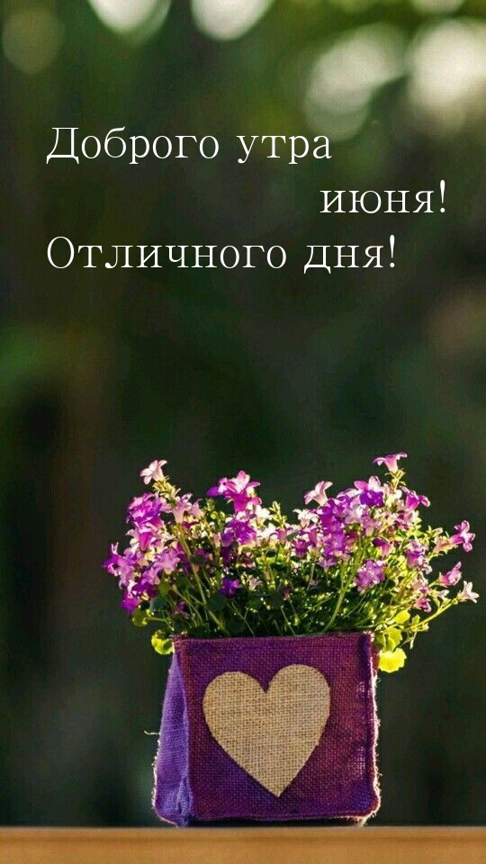 Доброго утра июня! Отличного дня! 