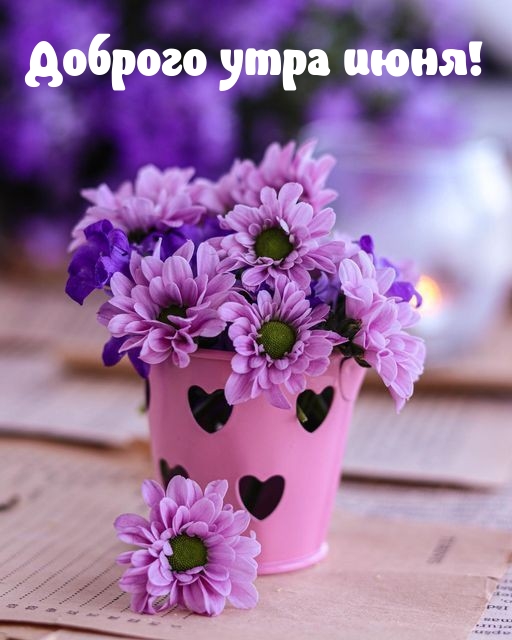 Доброго утра июня!