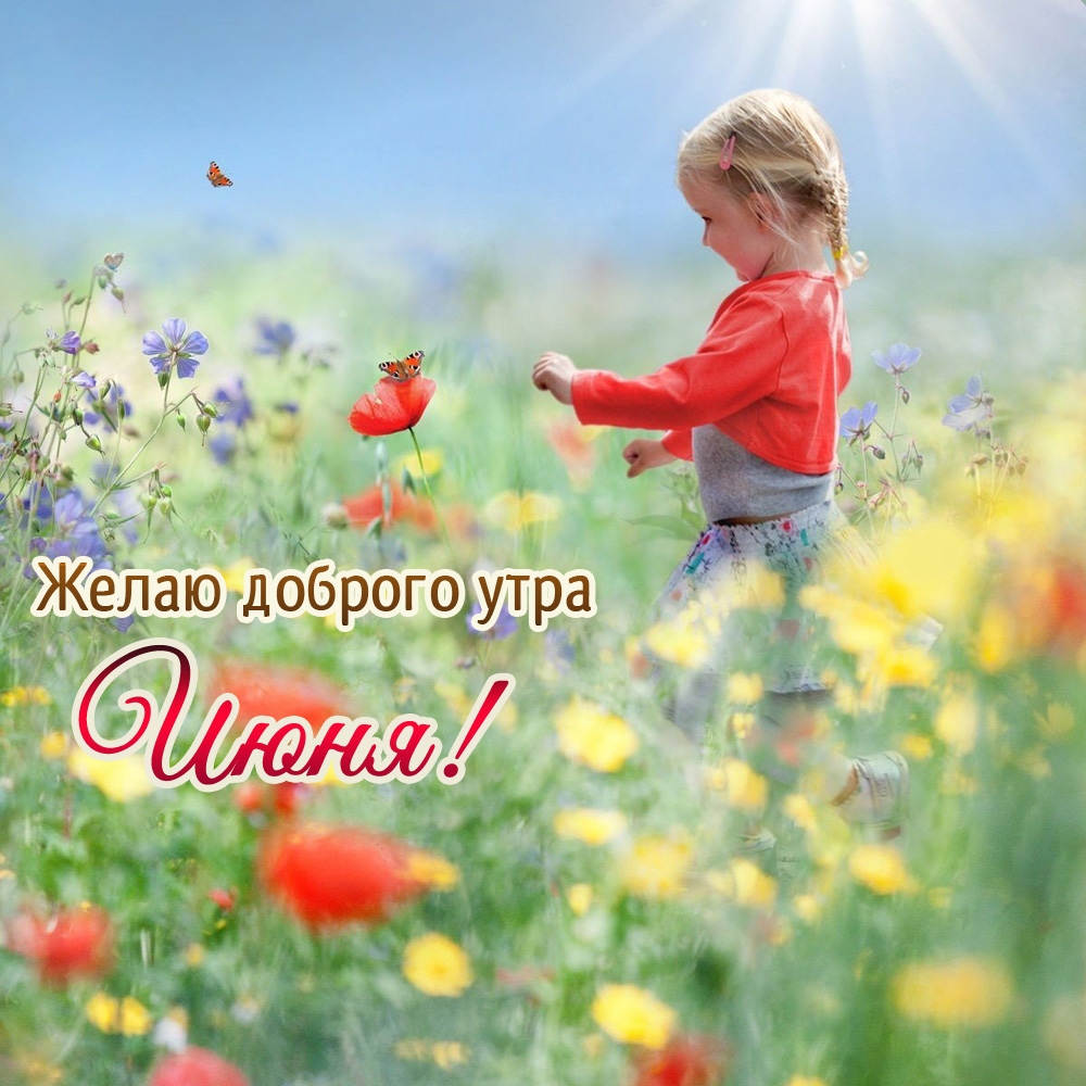 Желаю доброго утра Июня!