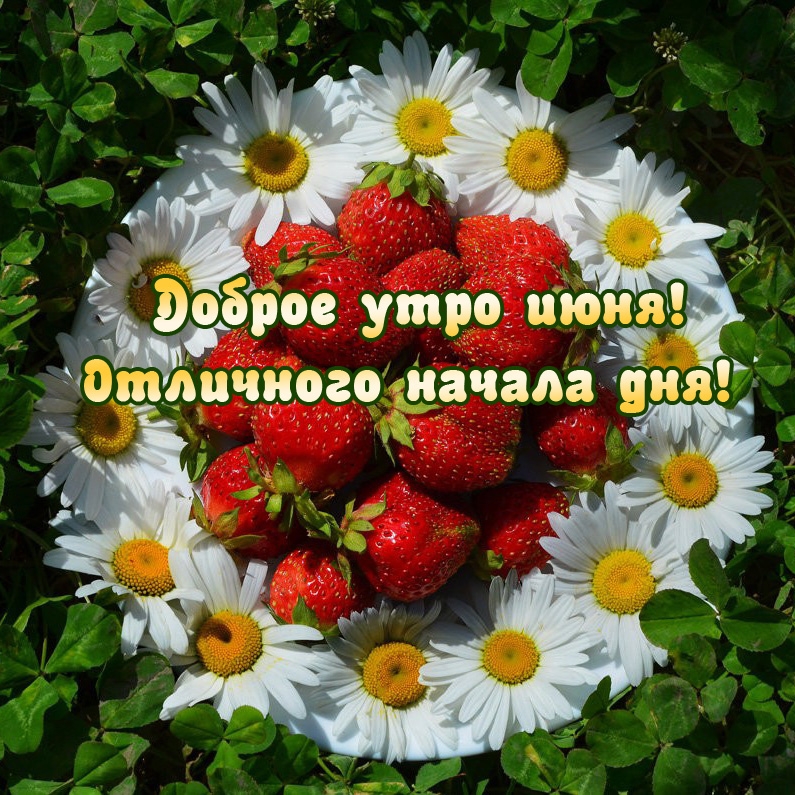 Доброе утро июня! Отличного начала дня!