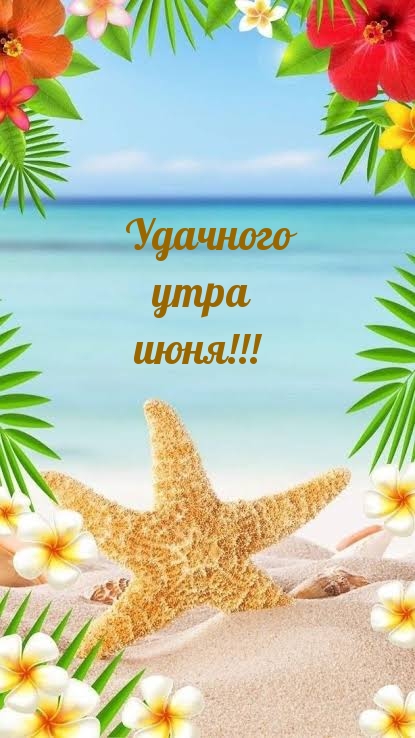 Удачного утра июня!