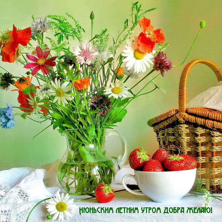 Июньским летним утром добра желаю!