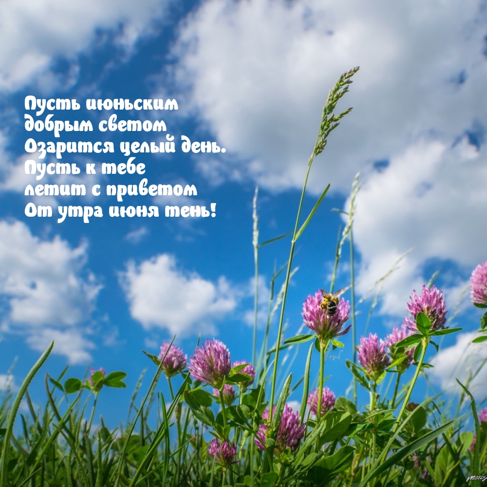 Пусть июньским добрым светом озарится целый день.