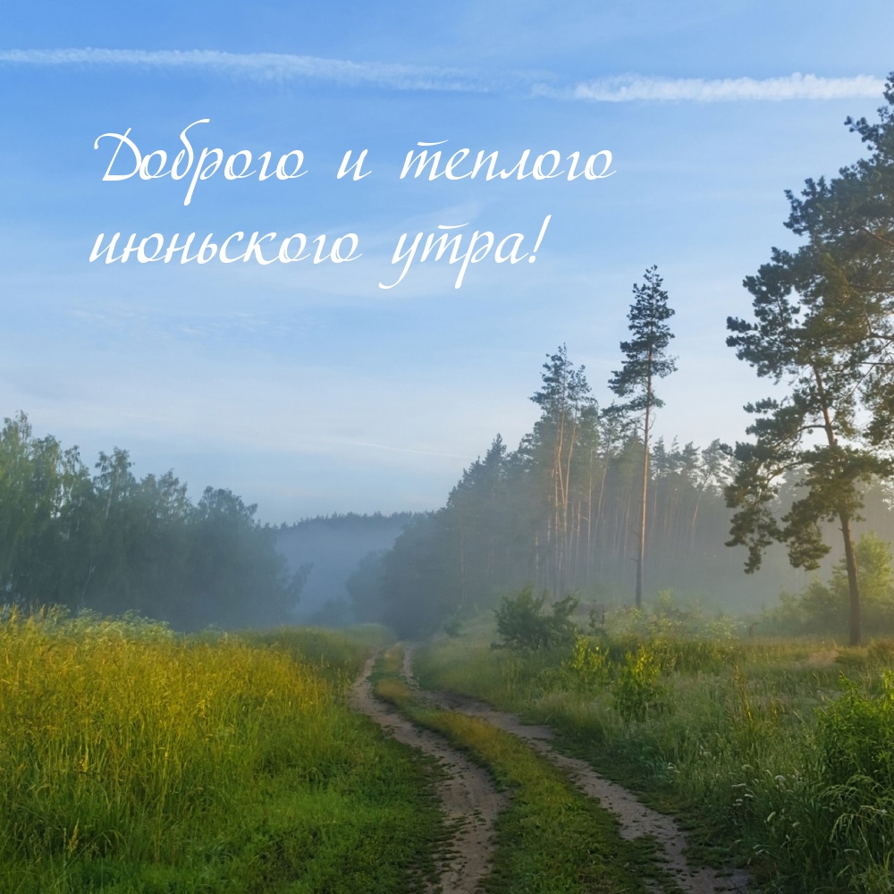 Доброго и теплого июньского утра!