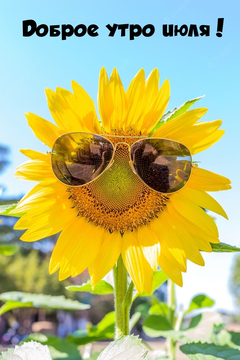 Доброе утро июля!