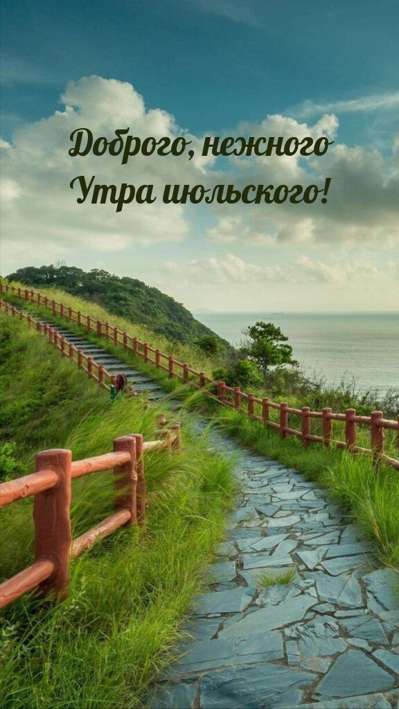 Доброго, нежного утра июльского!