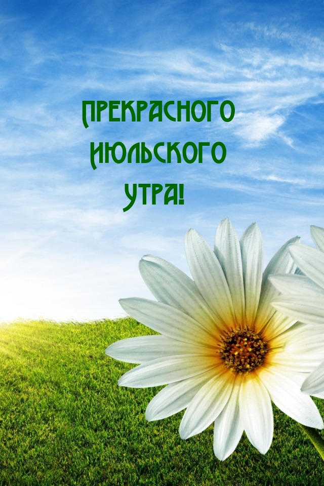 Прекрасного Июльского Утра!