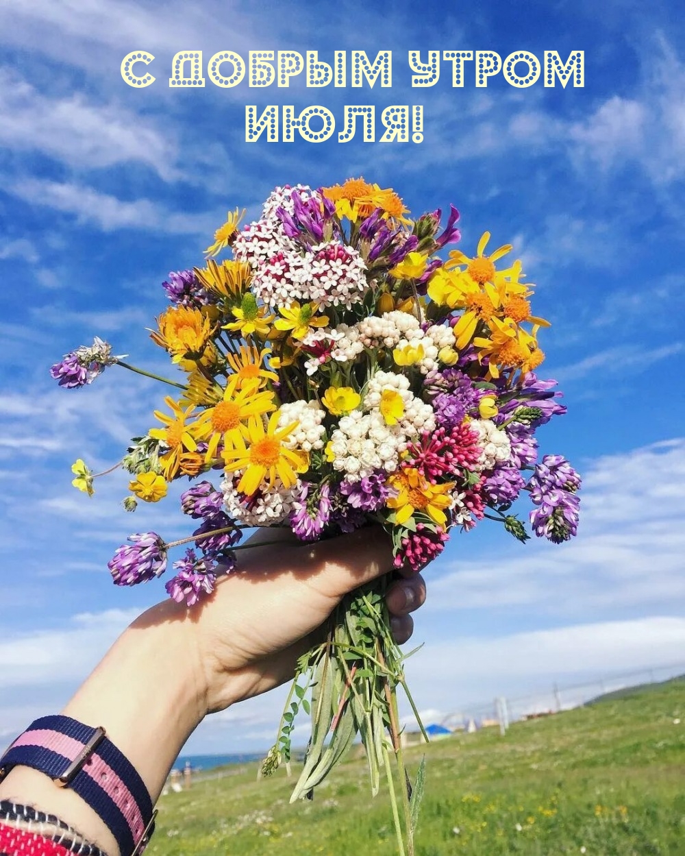 С добрым утром июля!