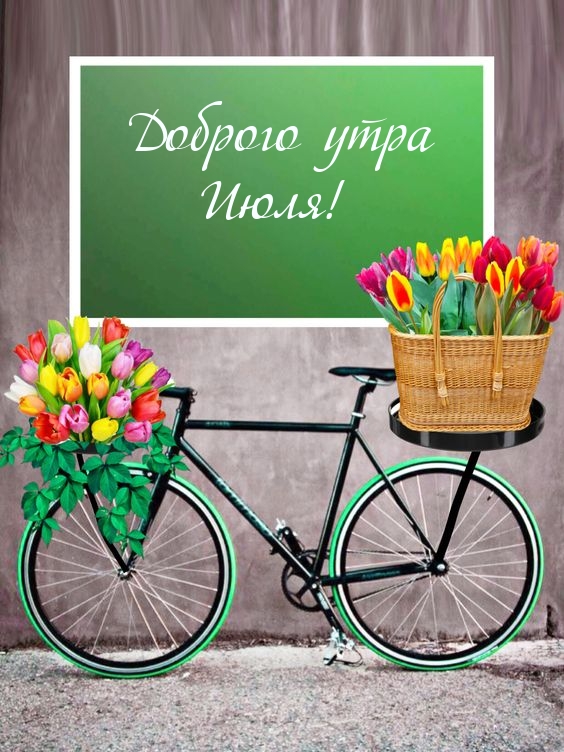 Доброго утра Июля!