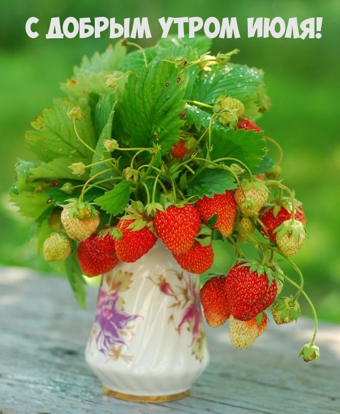 С добрым утром июля!