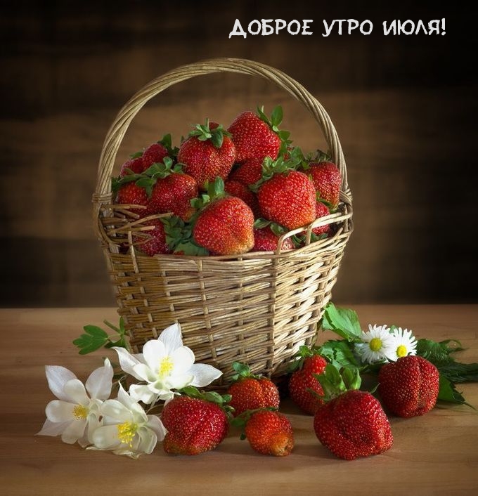 Доброе утро июля!